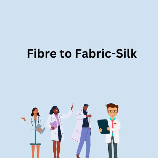 Fibre to Fabric-Silk